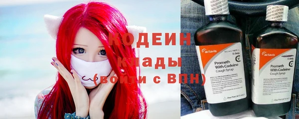 тгк Арсеньев