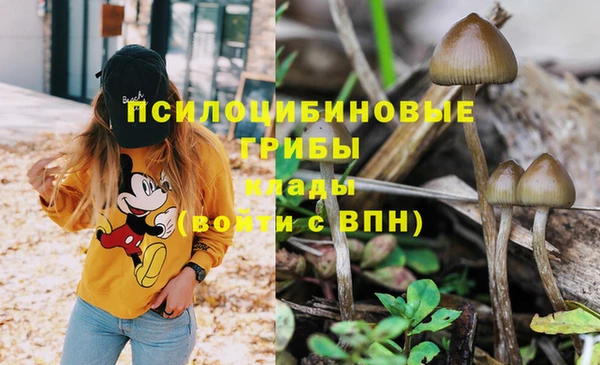 тгк Арсеньев