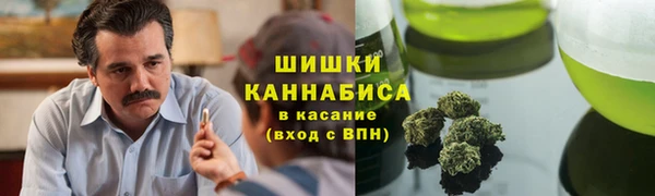 тгк Арсеньев