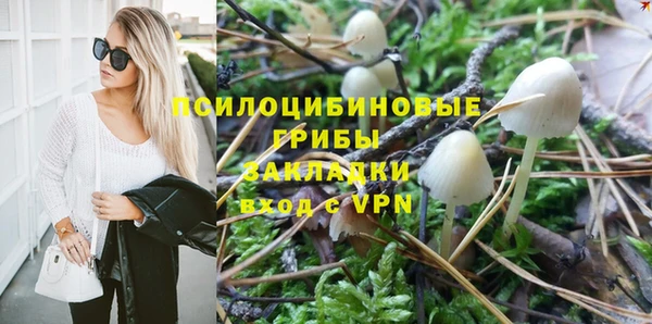 гашик Аркадак