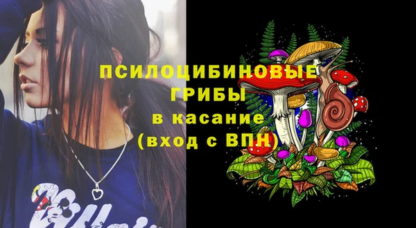 гашик Аркадак