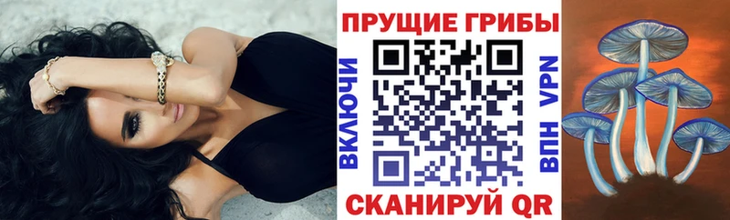 Псилоцибиновые грибы мухоморы  как найти закладки  MEGA зеркало  Тейково 